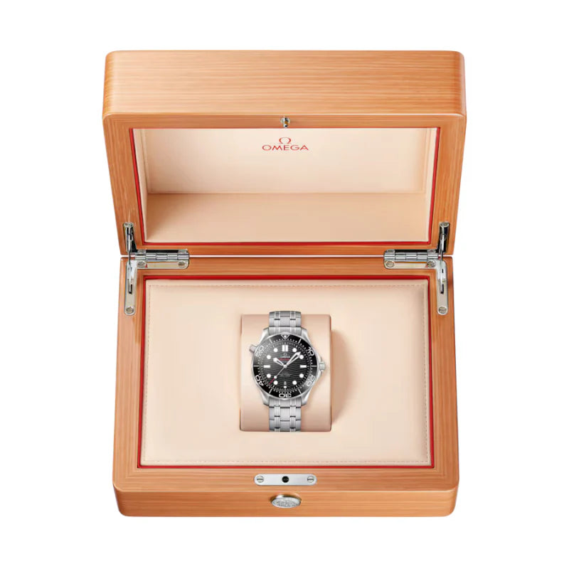 Seamaster Professional Diver 300M